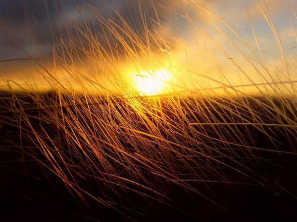 Strohfeld Sonnenuntergang