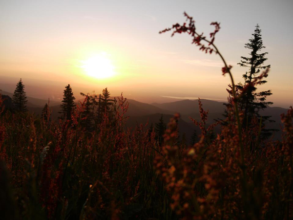 Sonnenuntergang Brauneck