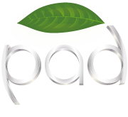 Logo pad Marketing Agentur